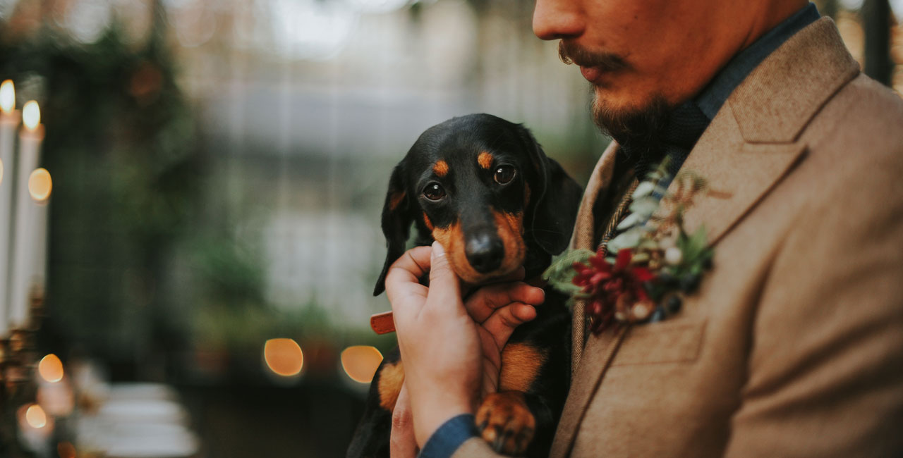 ilovebrides.pt make a wish cracha wedding agency